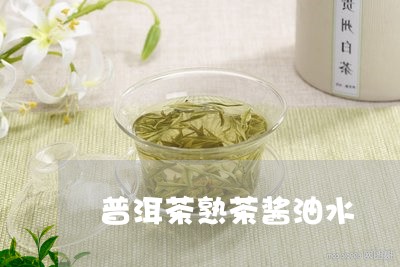 普洱茶熟茶酱油水/2023031527459