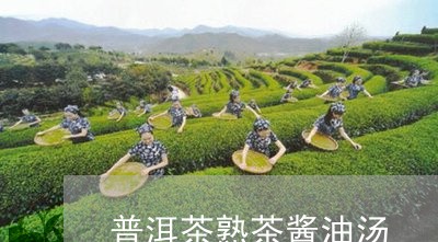 普洱茶熟茶酱油汤/2023031746479