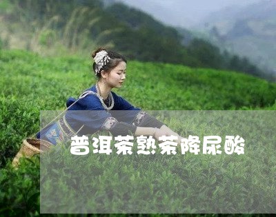 普洱茶熟茶降尿酸/2023031653926