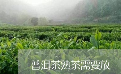 普洱茶熟茶需要放/2023041180603