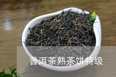 普洱茶熟茶饼特级/2023031576051