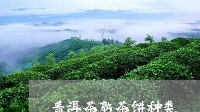 普洱茶熟茶饼种类/2023041163936