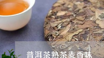 普洱茶熟茶麦香味/2023031693816