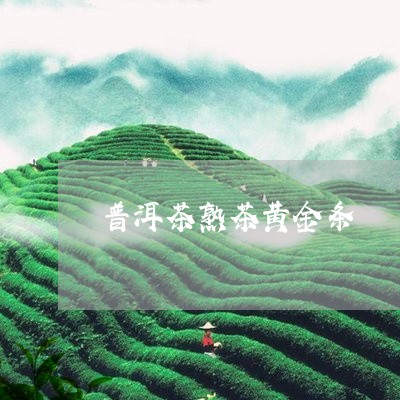 普洱茶熟茶黄金条/2023041138594