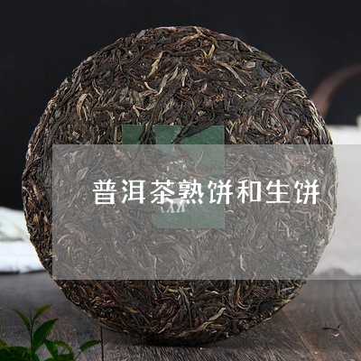 普洱茶熟饼和生饼/2023033198160