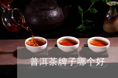 普洱茶牌子哪个好/2023041330040