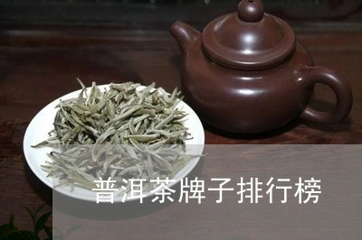 普洱茶牌子排行榜/2023041388573