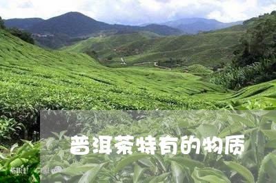 普洱茶特有的物质/2023041060502