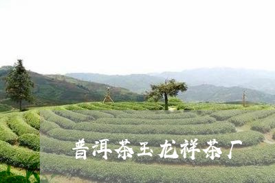 普洱茶玉龙祥茶厂/2023041043836