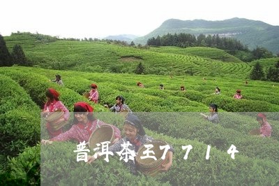 普洱茶王7714/2023041078280