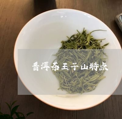 普洱茶王子山特点/2023031605160