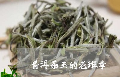 普洱茶王的老班章/2023041224959