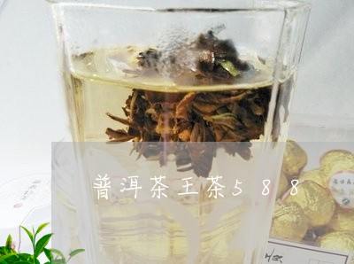 普洱茶王茶588/2023031790594