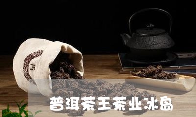 普洱茶王茶业冰岛/2023031732704