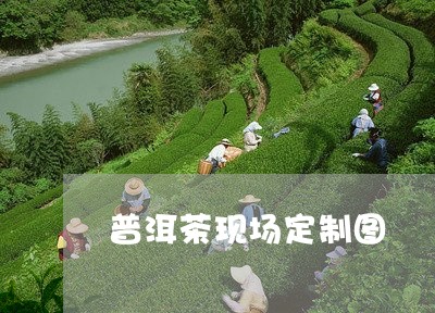 普洱茶现场定制图/2023031882947