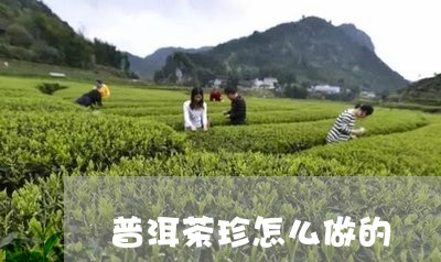 普洱茶珍怎么做的/2023033070513