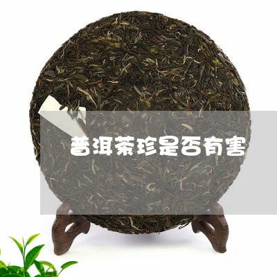 普洱茶珍是否有害/2023033080672