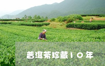 普洱茶珍藏10年/2023041014970