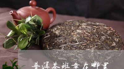 普洱茶班章在哪里/2023040121724