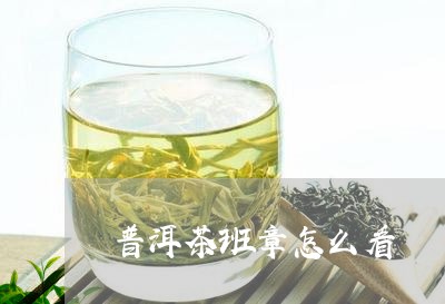 普洱茶班章怎么看/2023031668360