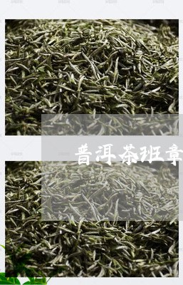 普洱茶班章茶特点/2023031584928