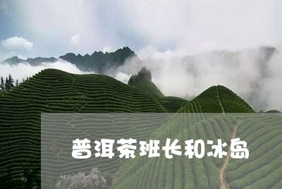 普洱茶班长和冰岛/2023041230561