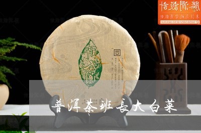 普洱茶班长大白菜/2023033194825