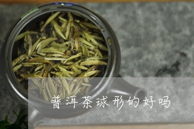 普洱茶球形的好吗/2023041025268