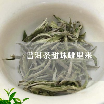 普洱茶甜味哪里来/2023041291758