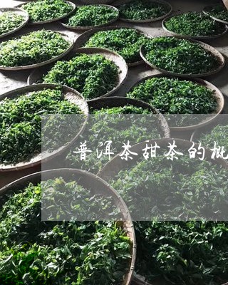 普洱茶甜茶的概念/2023041150704