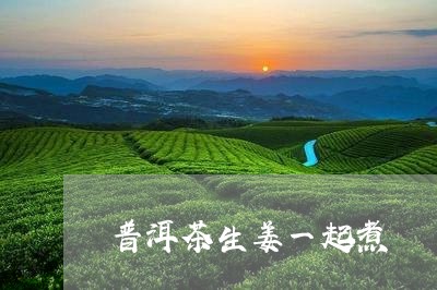 普洱茶生姜一起煮/2023033159379