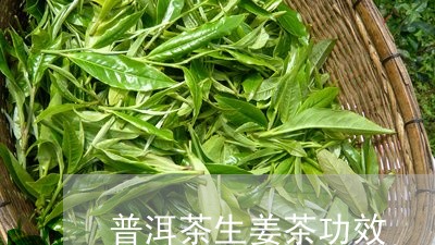 普洱茶生姜茶功效/2023041255248