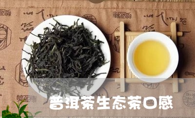 普洱茶生态茶口感/2023031828358