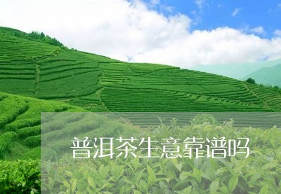 普洱茶生意靠谱吗/2023040120784