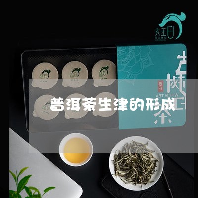 普洱茶生津的形成/2023041060694