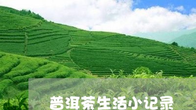 普洱茶生活小记录/2023041049473