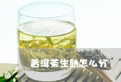 普洱茶生熟怎么分/2023031723147