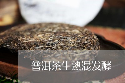 普洱茶生熟混发酵/2023031708480