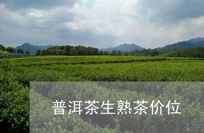 普洱茶生熟茶价位/2023041206359