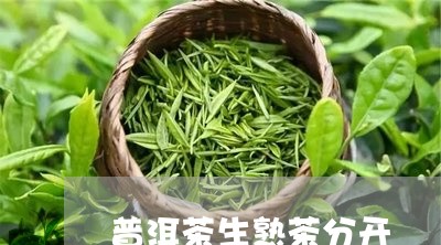 普洱茶生熟茶分开/2023041084717