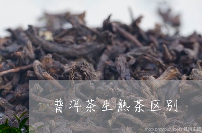 普洱茶生熟茶区别/2023041061637