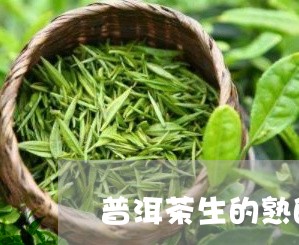 普洱茶生的熟的好/2023033111905