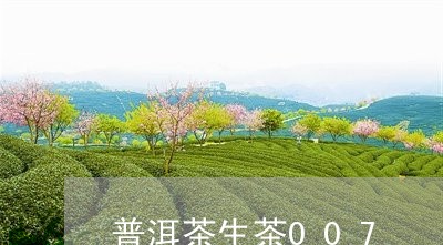 普洱茶生茶007/2023031776483