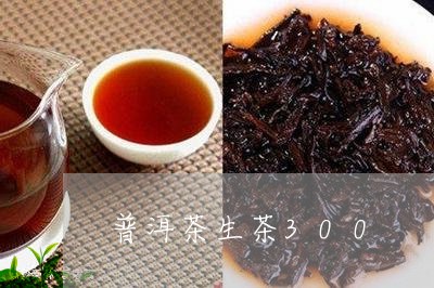 普洱茶生茶300/2023031782859