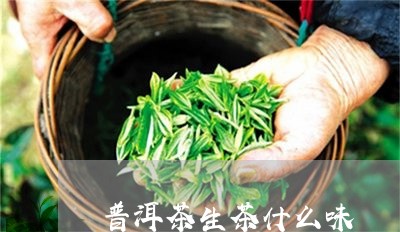 普洱茶生茶什么味/2023041134816