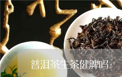 普洱茶生茶健脾吗/2023041182824