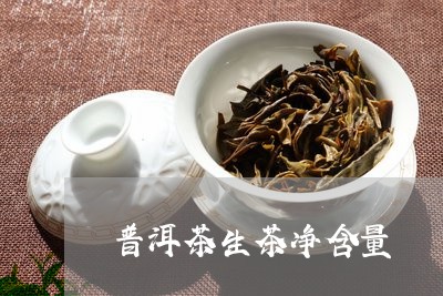 普洱茶生茶净含量/2023041193130