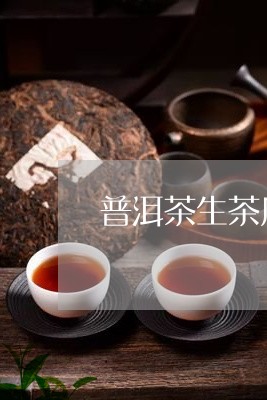 普洱茶生茶凤凰窝/2023031559380