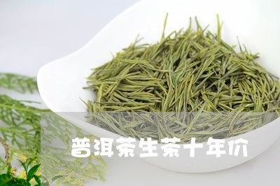 普洱茶生茶十年价/2023040185938