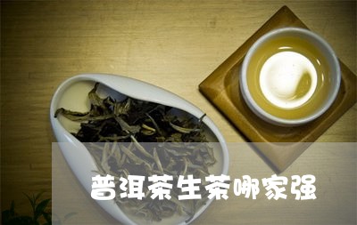 普洱茶生茶哪家强/2023031661413